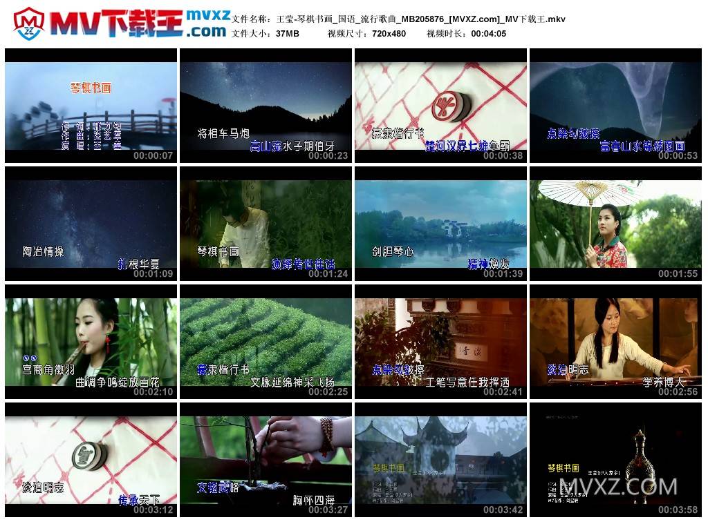 王莹-琴棋书画_国语_流行歌曲_MB205876